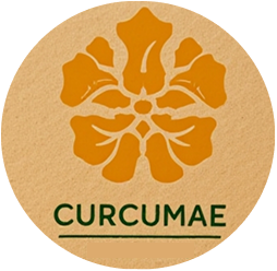 Curcumaé